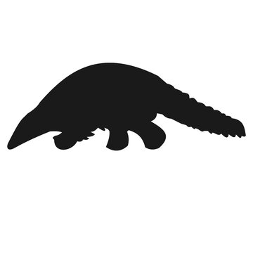 Pangolin Scaly Anteater Silhouette Vector Illustration