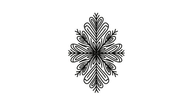 Black and white snowflake design pattern.