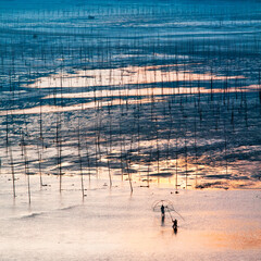 Silhouette Of Fishermen Casting Nets On Tidal Flats Landscape © CaoVan
