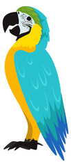 Fototapeta premium Parrot cartoon icon. Exotic tropical bird animal