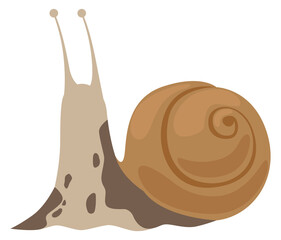 Snail cartoon icon. Shell slug crawling animal © ONYXprj