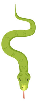 Snake green cartoon icon. Jungle reptile animal