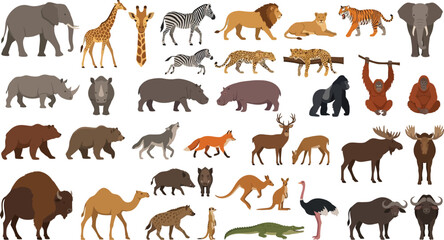 Obraz premium Diverse Wild Animals Collection in Stylized Vector Illustration on White Background