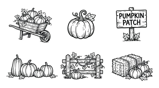 Set of hand drawn pumpkin patch elements