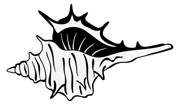 Seashell black icon. Conch drawing. Beach symbol