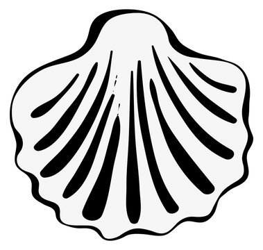 Beach shell drawing. Marine seashell black icon