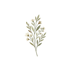 Fototapeta premium Delicate wildflower branch illustration with green leaves