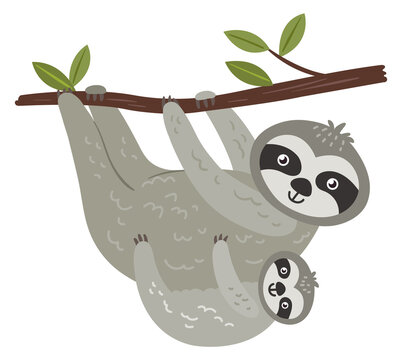 Sloth mom and baby hanging on tree branch