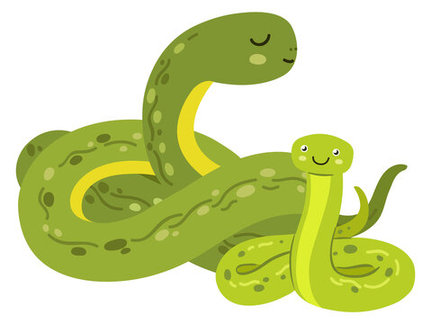 Snake baby with mom. Cute reptile parent and kid