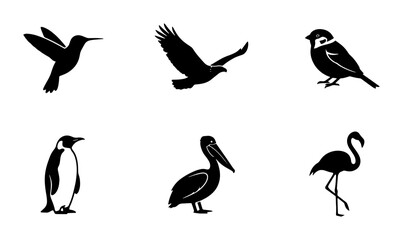 Fototapeta premium Diverse Bird Silhouettes Collection: Hummingbird, Eagle, Sparrow, Penguin, Pelican, Flamingo Icons