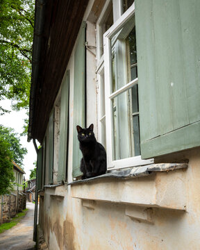 Black cat at Kuldiga cottage window