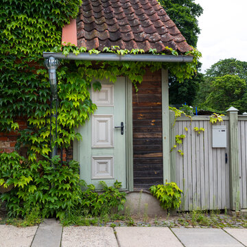 Ivy covered cottage entrance in Kuldiga