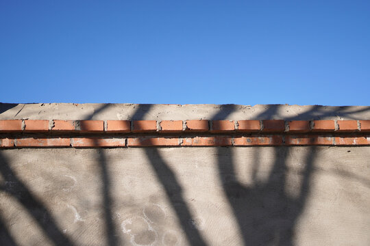 Tree Shadows Cast on Textured Wall Surface