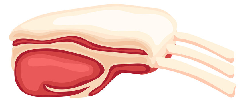 Pork ribs. Cartoon raw meat for barbecue or grill