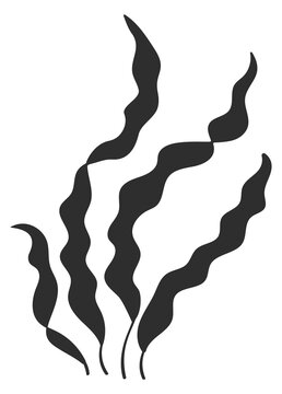 Underwater kelp icon. Sea plant black silhouette