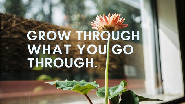 A stunning flower blossoming in natural light accompanied by an uplifting quote that emphasizes the importance of personal growth and resilience in overcoming challenges