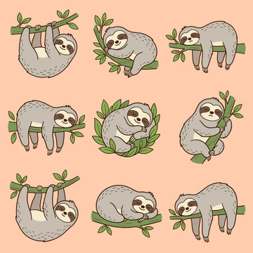 Cute cartoon sloth characters set sleeping climbing and hanging on tree branch in wildlife nature