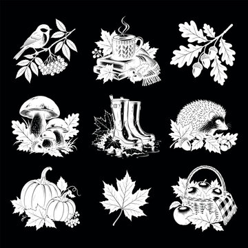Autumn collection vector silhouette on a black background