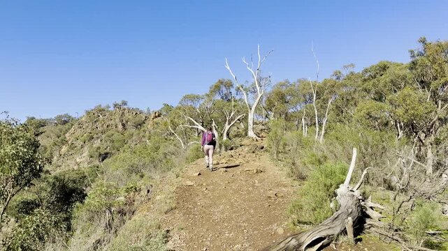 A girl hiker walks and admires the bush and landscape, embracing the adventurous life in Australia, along the Werribee Gorge Circuit Walk, near Melbourne, Victoria, Australia.