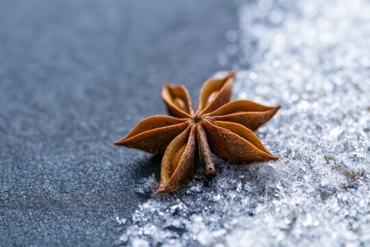 Star anise pod on snow and dark surface in winter setting