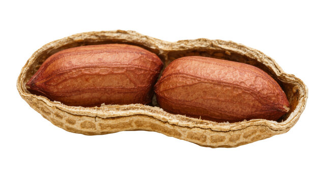 Two brown peanut kernels inside a cracked peanut shell, isolated on transparent background