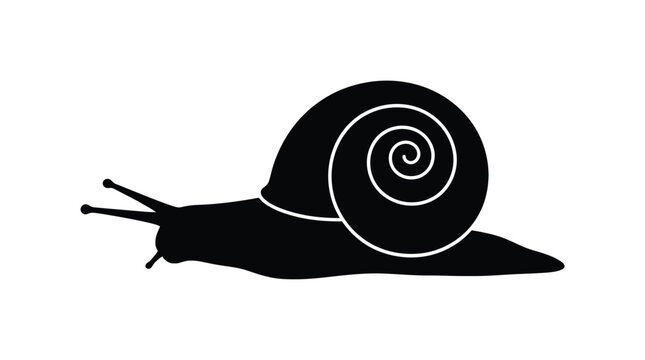 Detailed silhouette illustration of a garden snail showing a spiraled shell and long eye stalks against a clean white background