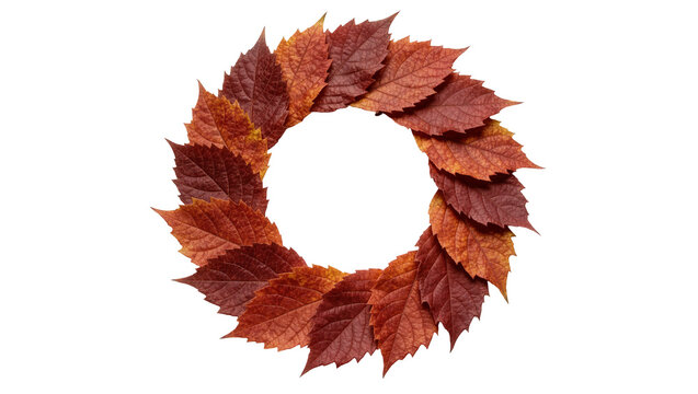 Circular arrangement of red and orange autumn leaves, isolated on transparent background