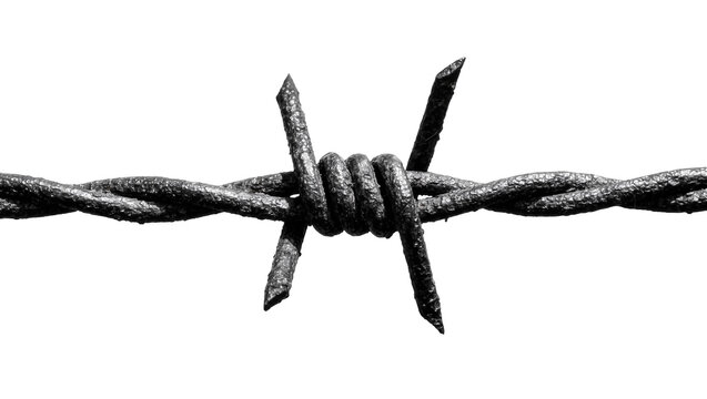 Rusty barbed wire fence segment with sharp points, isolated on transparent background