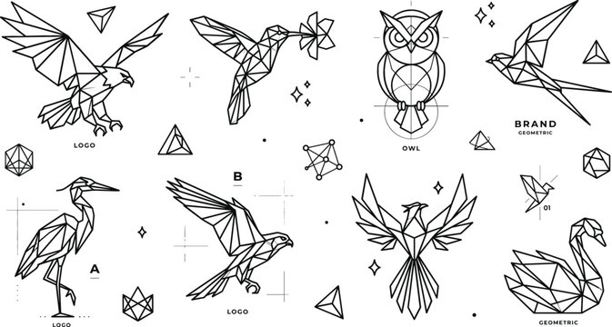 Geometric bird line art logo set eagle hummingbird owl heron falcon phoenix swan polygon vector outline illustration