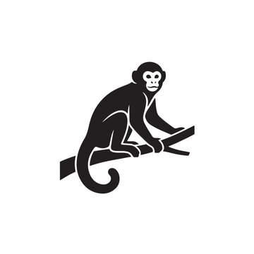 women silhouette monkey