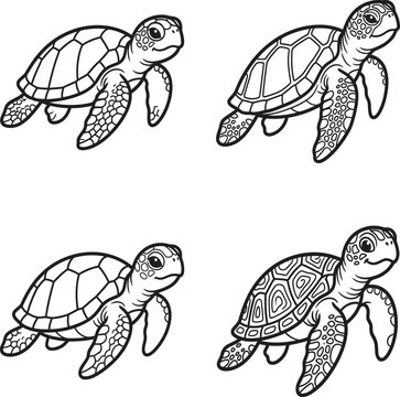 Set of four hand drawn sea turtle illustrations isolated on white background