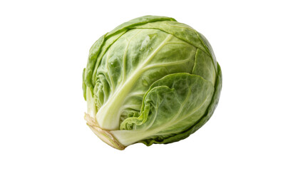 Fototapeta premium Fresh green Brussels sprout with visible water droplets, isolated on transparent background