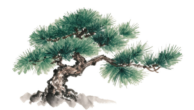 Green pine tree branch with textured bark, isolated on transparent background