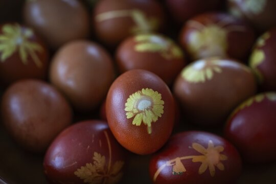 Easter eggs traditionally colored with onion peels, tights and small plants and flowers