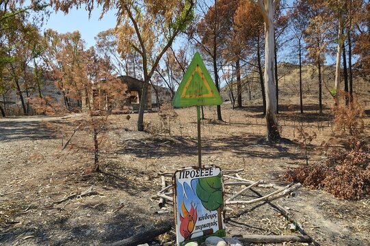 Warning sign in a scorched, desolate landscape with burnt trees, forest fires, summer 2023, forest fire damage, Lardos-Laerma road, Rhodes, Dodecanese, Greek Islands, Greece
