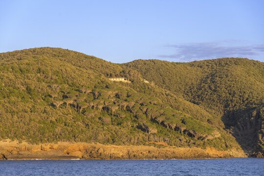 Barely populated coast of Elba in the evening light, ferry trip to Elba, province of Livorno, Italy