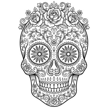 Sugar skull decorated with floral ornaments and roses vector illustration ornament decoration illustration tradition celebration