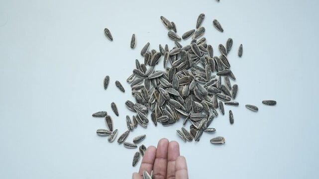 A captivating high-angle slow-motion footage capturing the graceful descent of dried sunflower seeds onto a pristine white surface, creating an intricate pattern of organic textures