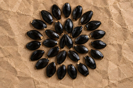 Top-down flat lay photograph of flat glossy jet-black sapodilla seeds arranged in a neat circular mandala pattern on vintage kraft paper