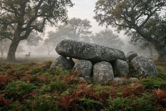 Dolmen Tomb Surrounded by Oak Woodland