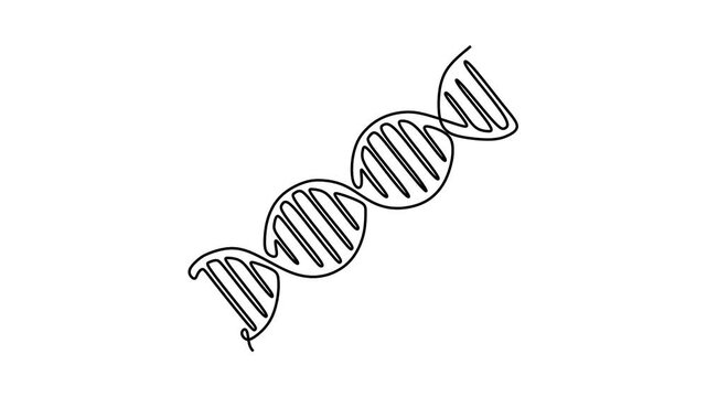 Animated self drawing of continuous line draw. DNA. Concept for biotech, science, medicine. Technology and innovation in genetic engineering. Full length one line animation. 4K	
