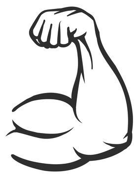 Biceps arm drawing. Strong male hand muscle