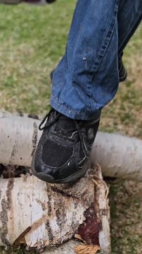 Cutting wood with a chainsaw while standing on a log during a sunny day outside