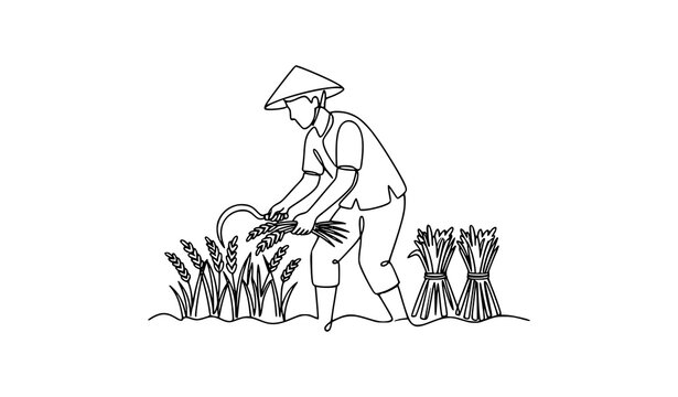 Continuous line drawing of traditional Asian farmer working in field cutting rice plants with manual harvesting sickle tool