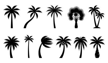 Naklejka premium Tropical Palm Tree Silhouettes Vector Set with Diverse Coconut Tree Shapes