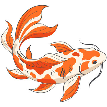 Detailed orange and white koi fish vector graphic design element