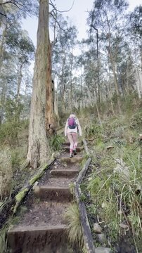 A girl hiker walks along the trail, admiring the dense, lush vegetation, on her way to the summit of Mount Macedon near Melbourne, Victoria, Australia.