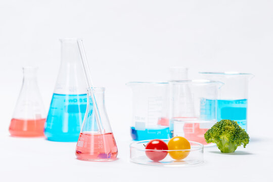 Food science laboratory with tomatoes and broccoli for plant breeding research