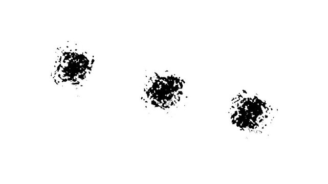 Black Ink Drips & Fluid Drops