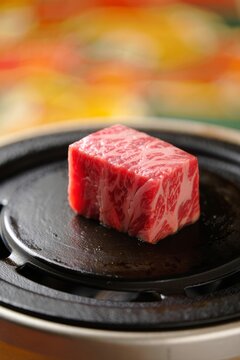 Premium Wagyu Beef Cube Ready for Grilling